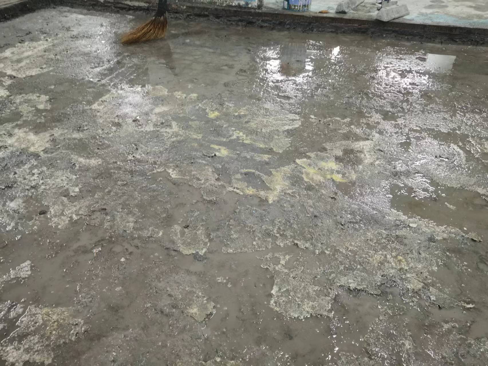 20240524164117788038.jpg 5.jpg