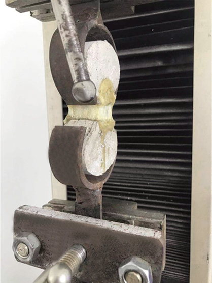 20240524164605622069.jpg 9.jpg