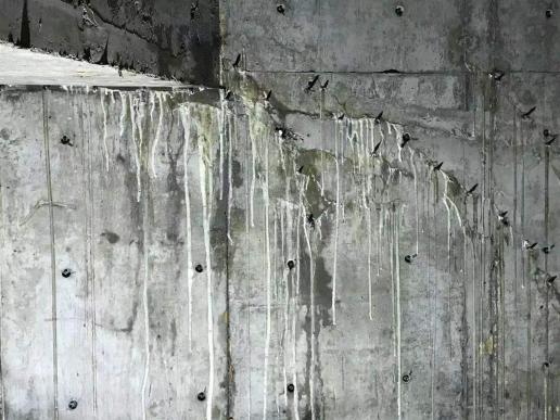 20240524164721991375.jpg 11.jpg