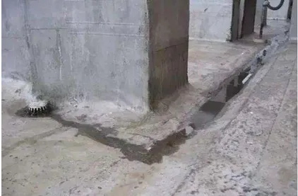 20240627085604206932.jpg 2_看圖王.jpg