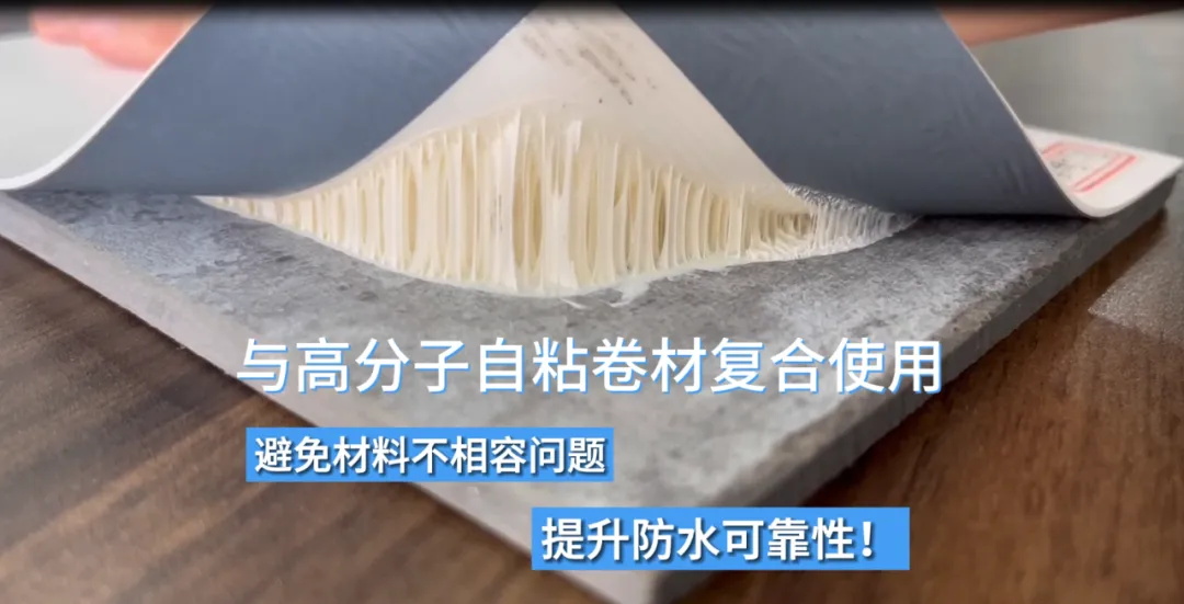 20240802141530547255.jpg 4_看圖王.jpg