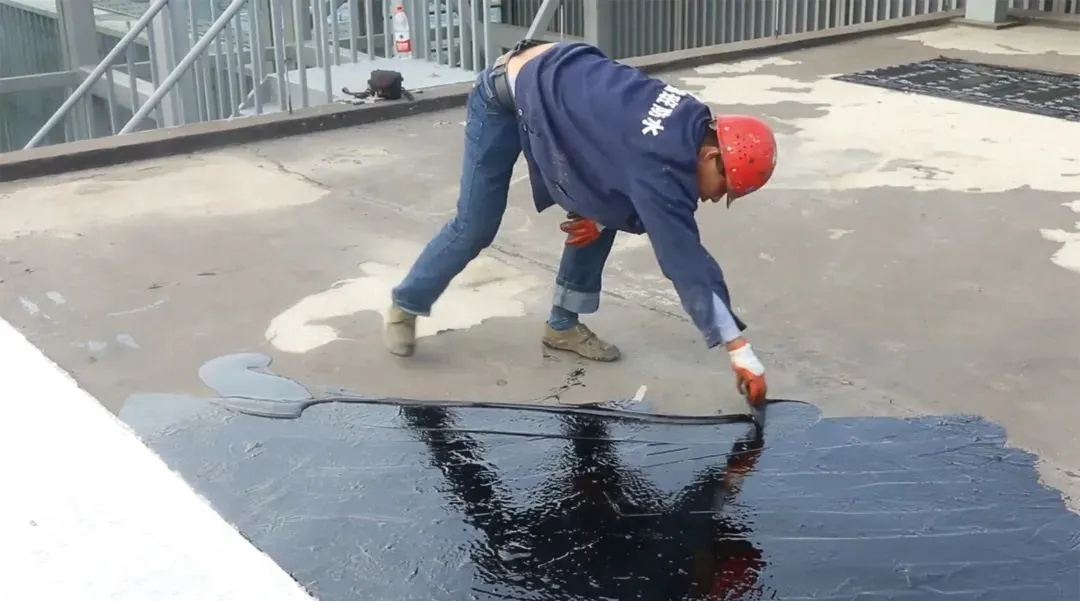 20240808144111298147.jpg 5_看圖王.jpg