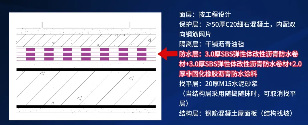20240930104208502671.jpg 2_看圖王.jpg