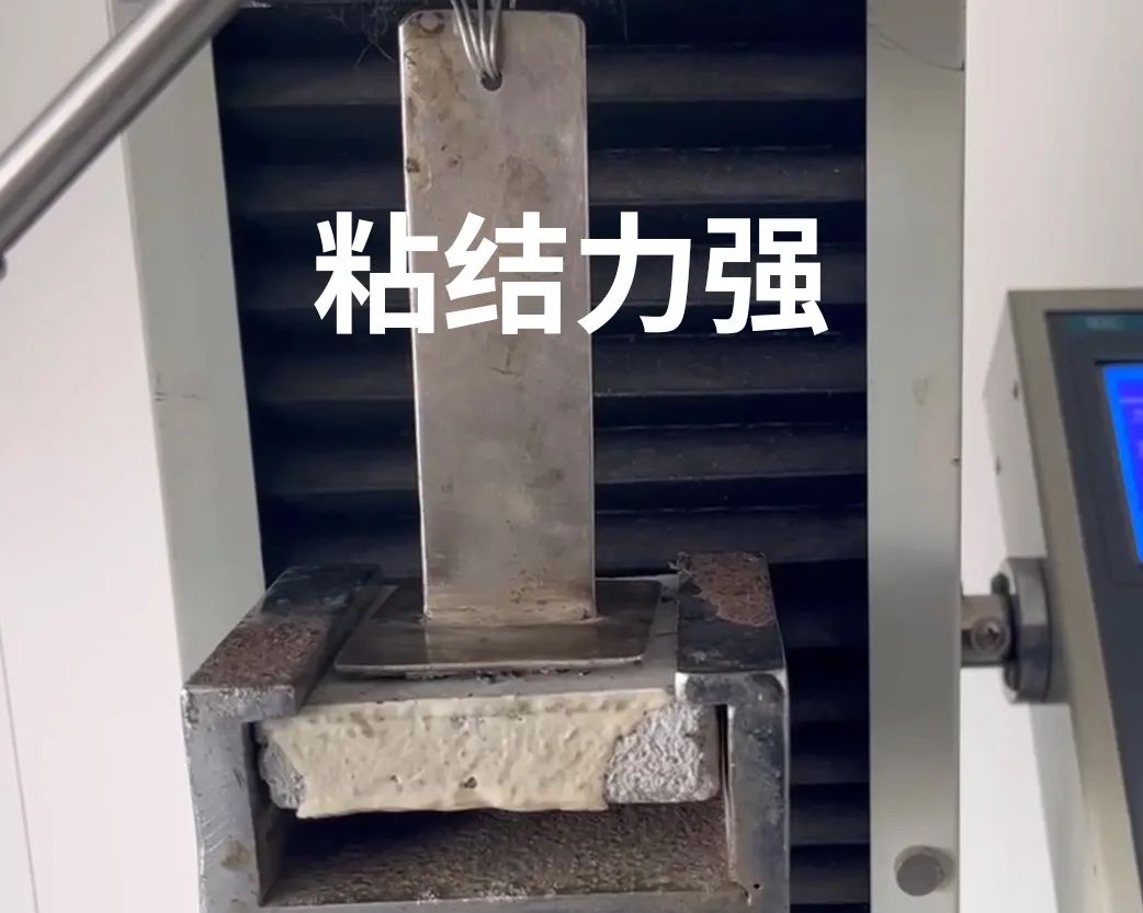 20241113142617794578.jpg 5.jpg