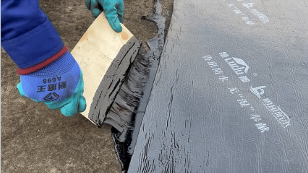 20241227163602891449.png 微信圖片_20241227163435.png