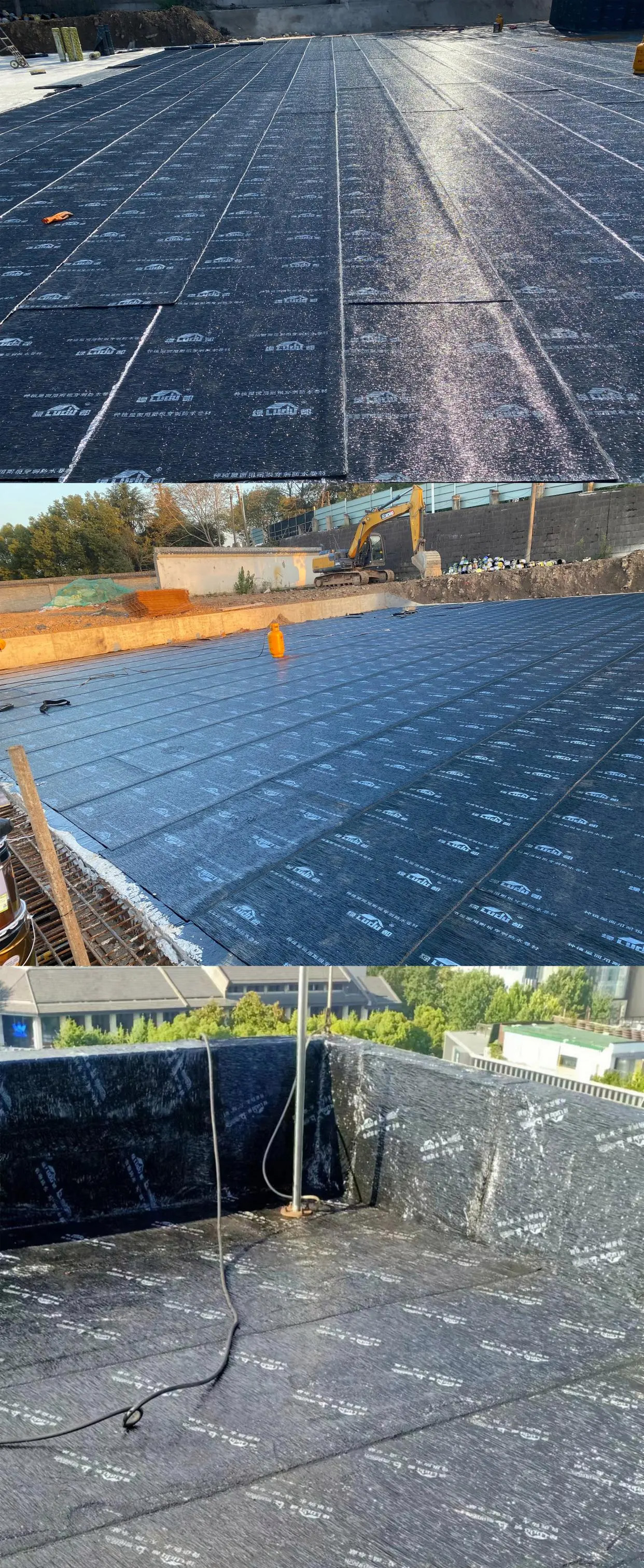 20241227164051419370.jpg bf096b63f6246b60d62f319670af0743500fa292@f_auto (1).jpg