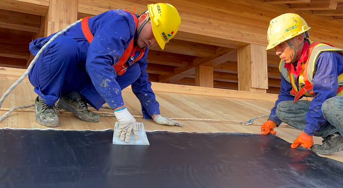 20250110141701193838.png 微信圖片_20250110141648.png