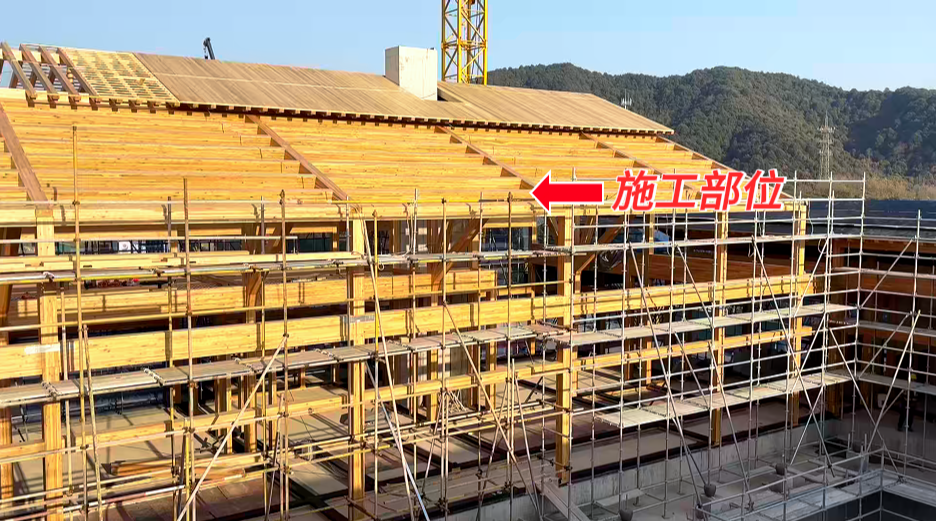 20250214155952566014.png 微信圖片_20250214155943.png