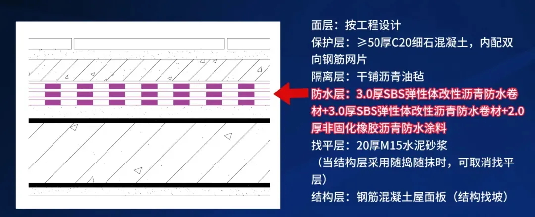 20250320140810552337.jpg 640_看圖王.web.jpg